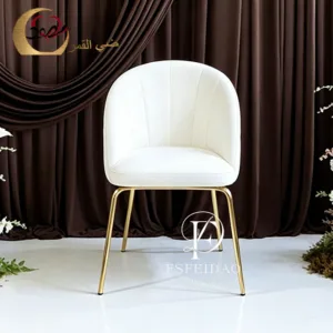 Stainless Steel Wedding Chair